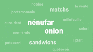 La réforme de l’orthographe : retour sur une mutation de la langue française