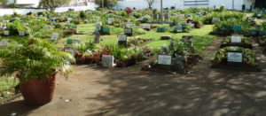 Cimetière musulman et covid 19